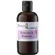 Echinacea and Sambucus 100 ml tincture