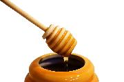 Voice Elixir Herbal Tincture Syrup