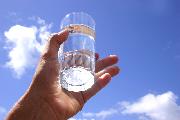 Milk Thistle Tincture & Tincture Complex (previously known as Detox Mixture)