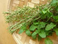 Herbal Support
