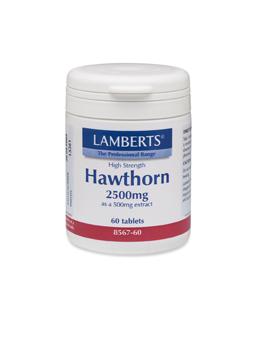 Hawthorn 2500mg Tablets