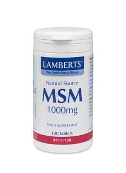 MSM 1000mg tablets